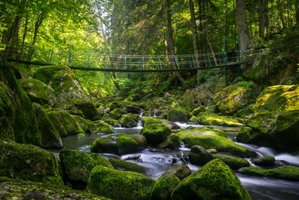 Foto der Wildbachklamm Buchberger Leite