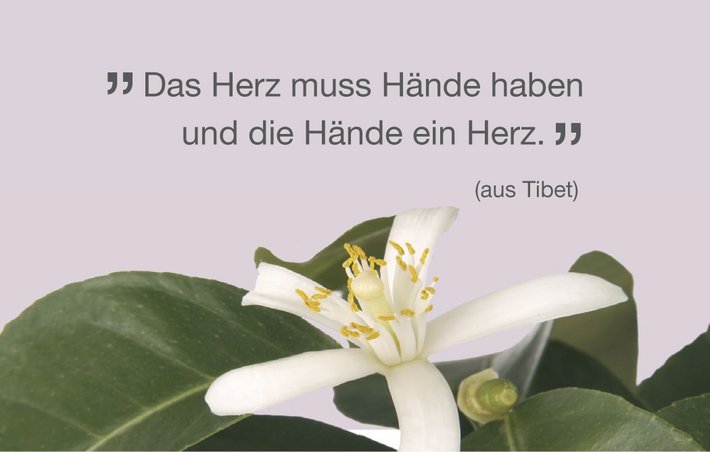 "Das Herz muss Hände haben und das Herz Hände" (© Fotocomp) Bild mit Blüte und Spruch "Das Herz muss Hände haben und das Herz Hände" (aus Tibet)